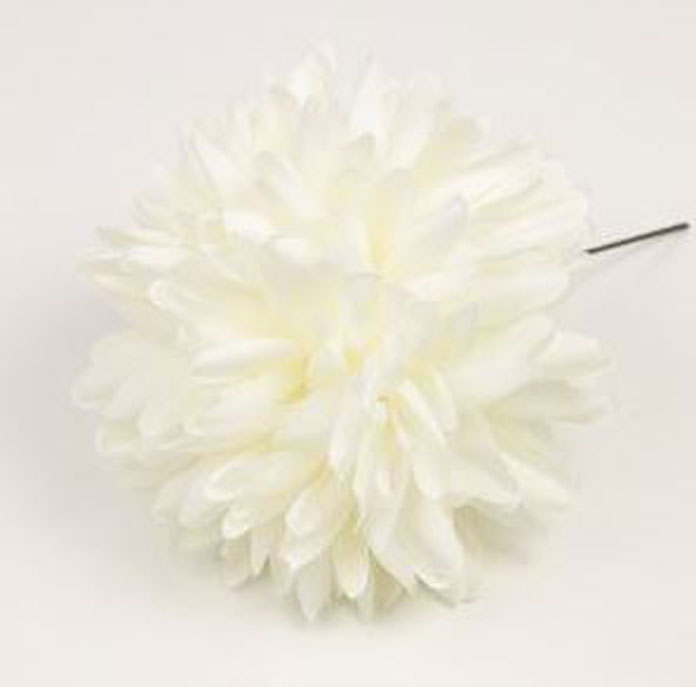 フランドル菊の花。ホワイト.12cm